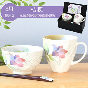  v[g Mtg Z & Ԃ̂ јq}OZbgiS12ށj | q   }OJbv j e c c җj ђq ͂񒃘q Vzj a