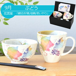  v[g Mtg Z & Ԃ̂ јq}OZbgiS12ށj | q   }OJbv j e c c җj ђq ͂񒃘q Vzj a