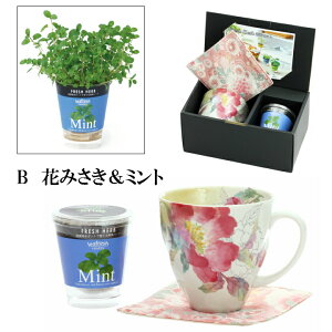 楽天市場 マグカップ 育てるハーブ 2種類 ギフト プレゼント 結婚 引き出物 新築 出産 誕生日 快気 内祝 和食器と雑貨のお店 ルアン
