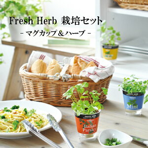 }OJbvĂn[ui2ށj Mtg v[g  o Vz oY a C j