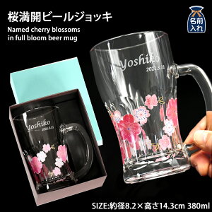  WbL v[g Mtg  r[WbL 380ml | O WbL  킢 Ԍ   rAWbL OX rAOX r[OX nC{[ r[ Ē 