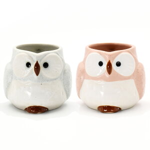  v[g Mtg g ӂ낤 }OJbv Pi / yA | }OJbv }O Mtg vw j c c e    җj Vzj a aH j  40