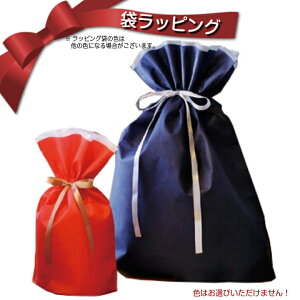 リボン付き ギフトラッピング 不織布単品詰め合わせ専用です!サイズ カラー 当店お任せ!商品と一緒にお買い求めください!※メッセージカード承ります。※お熨斗は承りができません。