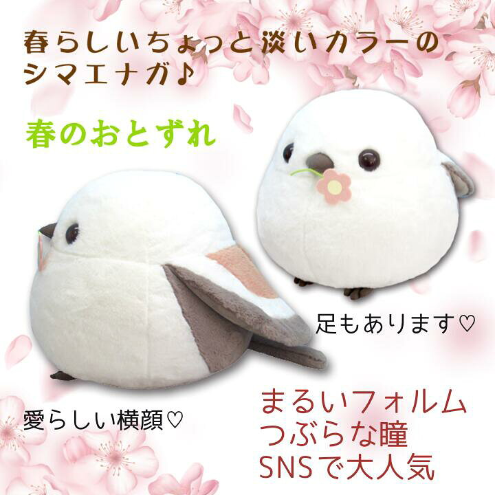楽天市場 在庫限り ギフトラッピング承り中 ふくふくシマエナガ 春のおとずれ Bigぬいぐるみ シマちゃん お花 約31cm シマエナガ 鳥 とり トリ ぬいぐるみ グッズ 生地 北海道 抱き枕 かわいい にゃん屋 ビッグ プレゼント おもちゃ 誕生日 もちもち Sns