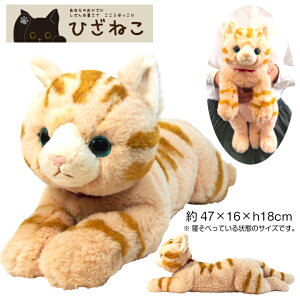 yЂV[YzyMtgbsO蒆Izق Ђ˂ ʂ݁iMjƂ uE BR neko L T ʂ  킢 rbO  v[g 
