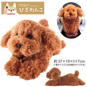 yЂV[YzyMtgbsO蒆Izق Ђ ʂ݁iSjgCv[h BR wanko  T ʂ  킢 rbO  v[g 