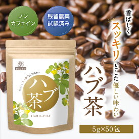 【今だけ全品5%OFF】ハブ茶 香ばし茶房 5g×50包 インド産 大容量 ティーパック ティーバッグ ノンカフェイン 残留農薬検査済 無添加 遠赤砂釜焙煎 はぶ茶 はぶちゃ ケツメイシ 決明子 レバンテ 健康茶