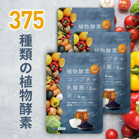 酵素 サプリ 3袋セット 30日分 コンブチャ 乳酸菌 ダイエットサプリ 健康 美容 サプリメント 野菜酵素375種 米麹 炭 チャコール 酪酸菌 ブラックジンジャー 生酵素 酵素ドリンク レバンテ