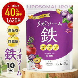 【今だけ40%OFF！2700円⇒1620円】リポソーム 鉄分 サプリ 10mg 1袋 30日分【高吸収×貯蔵型】3種の鉄分 リポソーム鉄 フェリチン鉄 ピュア鉄 葉酸 亜鉛 ビフィズス菌 ビタミンB6 B12 ビタミンD サプリメント 日本製 栄養機能食品 女性 子供 着色料 無添加