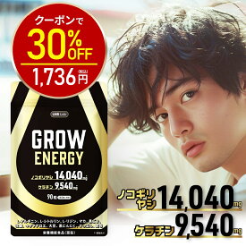 【神トク30%OFF！2480円⇒1736円】ノコギリヤシ サプリ 14040mg 製薬会社共同開発 ケラチン 9540mg 30日分 LMB Lab【栄養機能食品 亜鉛】 ケラチン サプリ サプリメント アルギニン シトルリン 国内製造 粒 90粒 1ヶ月分 GROW ENERGY