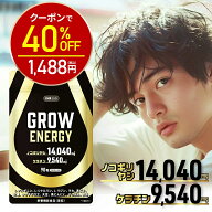 【24日1:59迄★40%OFF！2480円⇒1488円】ノコギリヤシ サプリ 14040mg 製薬会社共同開発 ケラチン 9540mg…