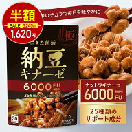 【11日1:59迄★半額！3240円⇒1620円】ナットウキナーゼ サプリ 6000FU 1袋 30日分 納豆キナーゼ 納豆菌 …