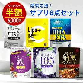 【今だけ半額！12000円⇒6000円】サプリ 6点セット [ 亜鉛 ビタミンC 鉄 ナットウキナーゼ DHA EPA ルテイン ] 日本製 サプリメント GMP認定工場 栄養機能食品 女性 男性 レバンテ