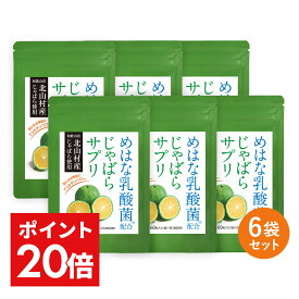 ＼最大1,500円OFFクーポン＆P20倍／ じゃばら サプリ 6袋セット 半年分 北山村産 めはな乳酸菌 200億個 | 北山村 じゃばらサプリ 黒じゃばら ナリルチン 乳酸菌 乳酸菌サプリ じゃばらサプリメント サプリメント 送料無料 RL