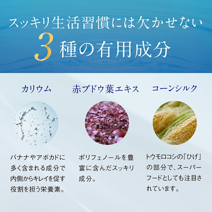 828円 セール品 パーフェクトカリウム カリウム サプリメント 1215mg 乳酸菌 塩化カリウム カルニチン ビタミン ポリフェノール クエン酸 生姜 日本 828円 セール品 パーフェクトカリウム カリウム サプリメント 1215mg 乳酸菌 塩化カリウム カルニチン ビタミン ポリフェノール クエン酸 生姜 日本