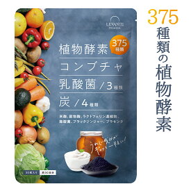 375種 酵素 サプリ 30日分 コンブチャ 乳酸菌 健康 美容 サプリメント 野菜酵素 米麹 ダイエットサプリ 炭 チャコール 酪酸菌 ブラックジンジャー プラセンタ 黒酢 野菜不足 送料無料 生酵素 酵素ドリンク レバンテ RL