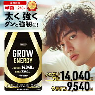ノコギリヤシ サプリ 14040mg 製薬会社共同開発 ケラチン 9540mg 30日分 LMB Lab【栄養機能食品 亜鉛】 …