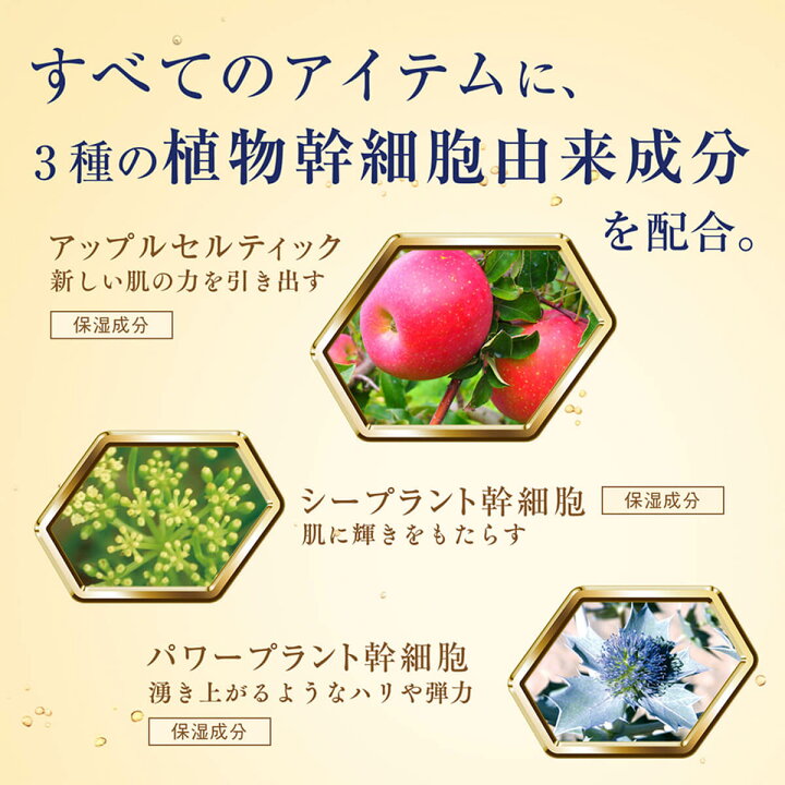 楽天市場】リッツ リバイバル セラム ローション LITS 化粧水 150ml 