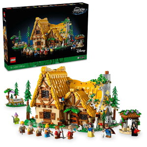 レゴ LEGO ディズニープリンセス」の人気商品一覧・価格比較 - 価格.com