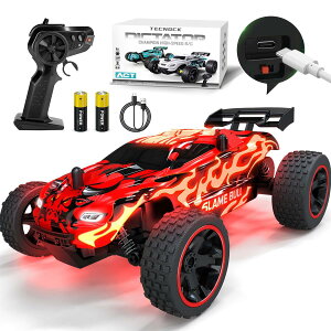 ���W�R���J�[ �q������ ���W�R�� Type-C USB�[�d �������� �� �I�t���[�h 2.4Ghz RC�J�[ �a���� �v���[���g �i�ԃu���jTecnock