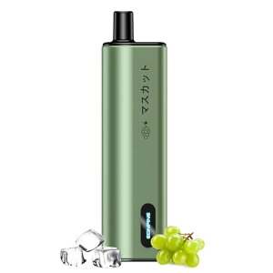 dq^oR ĝ xCv 8000z\ V[V vape ^[jR`[ C^oR ^ ։ObY dq΂ ։