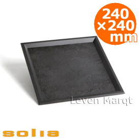 ソリア solia スレートトレイ 240×240mm ブラック 10枚【業務用/ケータリング/使い捨て食器】