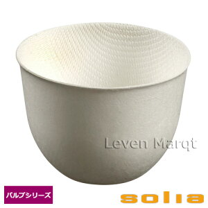 \A solia `[bv{E 70ml 50 pvV[YyP[^O/e/ĝĐHz