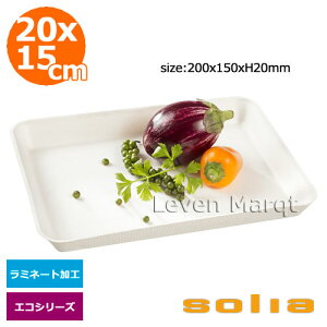 \A solia Lms[pvv[g 20×15cm 200 ~l[gH GRV[YyP[^O/e/ĝĐHz