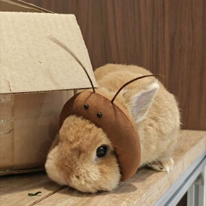 SLuRX`[ p nEB Ht GptETM