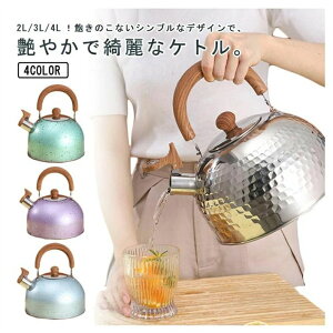 2L 3L 4L やかん 笛吹ケトル ケトル ステンレス ガス火対応 IH対応 大容量 笛吹きケトル 音が鳴る キッチン雑貨 湯沸かしケトル ステンレス キッチン用品 安心 直火 IH対応 広口 かわいい おしゃ