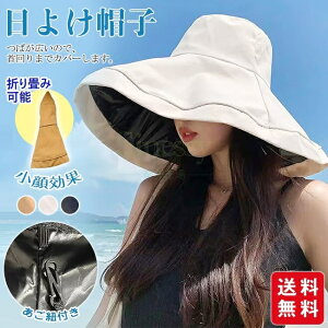 Xq fB[X 悯Xq ΍L ܂肽  Rt AEghAp ΂Ȃ t UV Jbg Sinessy yVsX Vpi