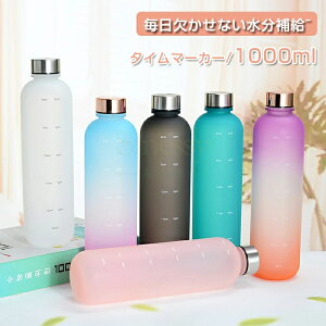 Sinessy yVsX Vpi  1bg ڐt X|[c  1L 1000ml EH[^[{g ^C}[J[ jp gѕ֗ Rh~ q e y  ̎q  