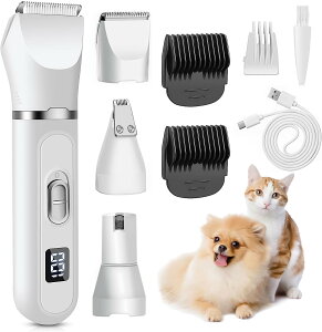 poJ 4in1ybgpoJ L LEDfBXvC dLܐ؂ LpoJ pO[~OoJlC  oJ   肨K SgJbg ܖ y ᑛ /L/