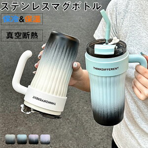 T[X  860m^fMP[^C}O ۉEۗ }C{g ItBX wZ X|[c Ƃ  ~ ʊw ʋ w Z Lb`pi