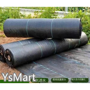 hV[g 3m × 100m ʐϐp 1{ 100[g \[[pl   | V[g  K[fjO  ubN _p