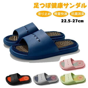 NT_ fB[X Y  CXbp N T_ fB[X  [V[Y c{T_ NXbp  }bT[WXbp fB[X Y C{C