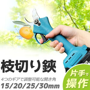 ΂ doT~ dnT~  R[hX ؒf}a30mm \0.65kg y 18-21Vobe[Ή iobe[Ȃjy K[fjO |p͂  A ~ } |K[