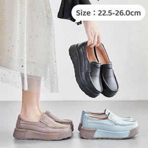 L [t@[ fB[X [t@[ JWAV[Y tbgV[Y IZ[ RtH[gV[Y ZC vC C y ₷ ɂȂ  s 22.5cm 26.0cm