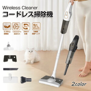 |@ R[hX 15Kpaŋz cC[[|@ y R[hX|@ TCN 40ԉғ 360°]  R[hX XeBbNN[i[ nfB|@ Ǌ|[ n