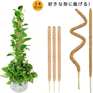 wSx 3{Zbg |x DȌ`ɋȂ U x t[X^h Ԏx ϗtAXe x wSx鐫A RRXeBbNx AT|[g ێ {ێ RR