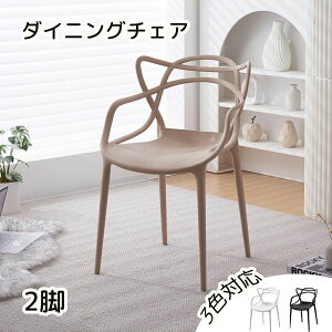 【2脚】ダイニングチェア チェア いす 完成品 椅子 ポリプロピレン 肘付き 背もたれ おしゃれ ダイニングチェアー リビング シンプル モダン 人気 北欧 ナチュラル 人間工学 デザイナーズチ