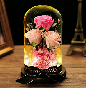 �v���U�[�u�h�t�����[ �o�� ������ rose 3�� ���j�� 3�F �� ���蕨 ���� �� �ޏ� �M�t�g�j�� �����L�O��