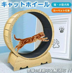 LbgzC[ Lp[i[ ^p L 8kg܂ gbh~ Lbg zC[ [[  [i[ 񂵎 ϗ S GNTTCY g[jO  