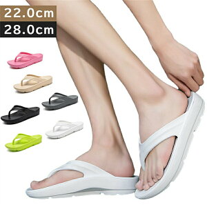 jp EVA r[`T_ fB[X Y r[T  q[ y Y ɂȂ ₷ IV ȂT_ lC ~ JWAV[Y 傫TCY C 