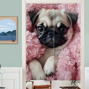 pO ̂񌢕OJ[eg ډB 킢Ԏd؂CeA m