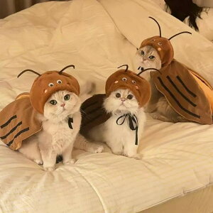 SLuRX`[ Lp ybg  ϐgRXv  Lp