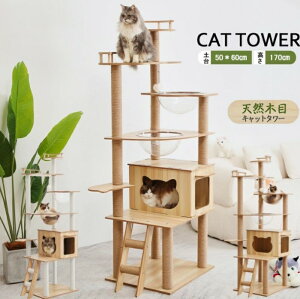 Lbg^[ ؐ ^L u L^[   iK FD nbN LnEX  ܂Ƃ lR Lp ^s XgX 萫Q ^L 170cm Lp