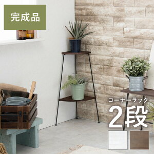 �R�[�i�[���b�N 2�i 25.5×25.5×55cm