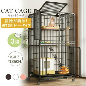 LP[W LP[W^ LP[W 3i LbgP[W o LbgP[W LbgP[W RpNg  LpP[W ybgpi Lpi