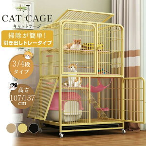 LP[W LP[W^ LP[W 3i/4i XChhA P[W LbgP[W o LbgP[W LbgP[W RpNg Lp  Eh~ ybgpi Lpi